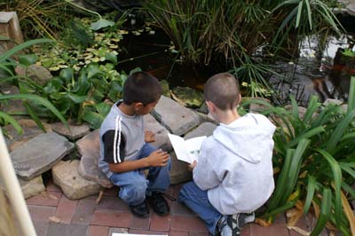 2nd grade buddy 2