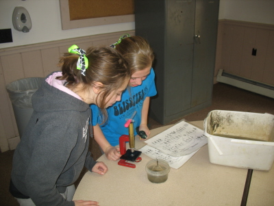 Microscope (1)