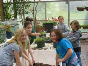 plant 1b