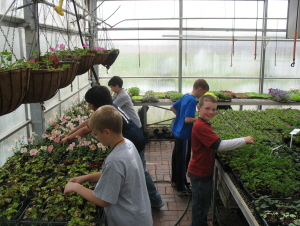 plant 3b