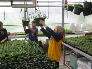 plant 4b