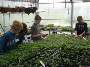 plant 5b