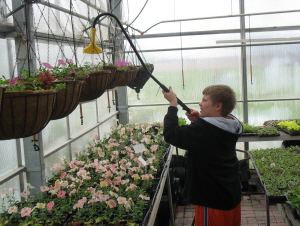 plant 6b