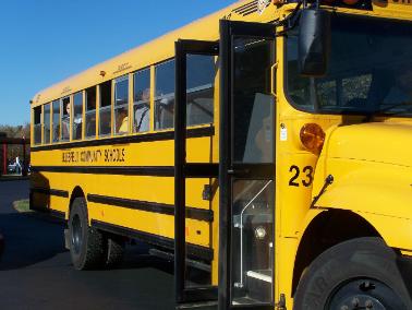 busses
