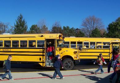 elem. busses elem. busses